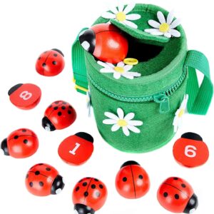 Counting Ladybugs - Wooden Counting Toy for Girls 3 4 5 Year Old - Ladybug Learning Toys for Toddlers - Preschool Kids Toys for Number Matching, Sorting & Fine Motor Skills - Lady Bug Gifts